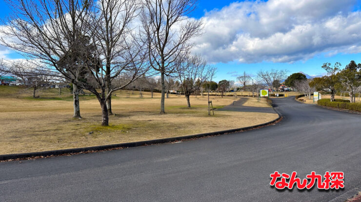 「観音池公園」の芝生広場