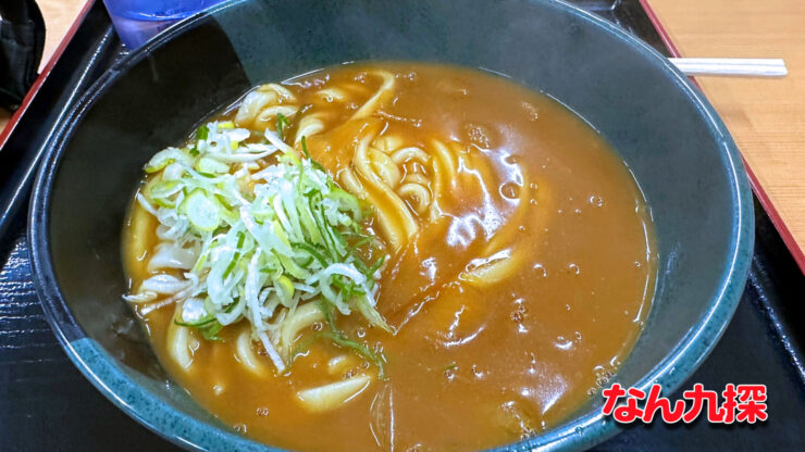 「どなん ほんごう」のカレーうどん