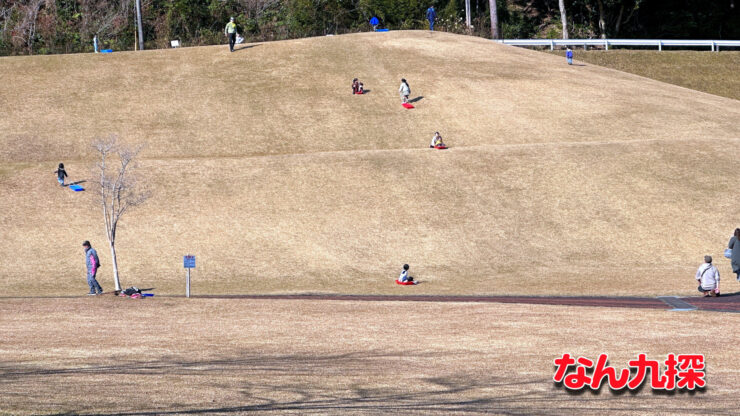 「清武総合運動公園」の草スキーが出来る場所