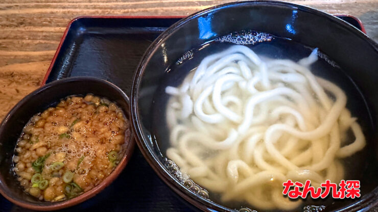 「手打ち釜揚げうどん 岩見」の釜揚げうどん